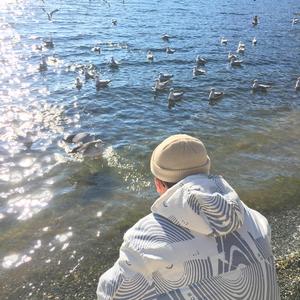 少司缘被拖到繁衍之后免费阅读
